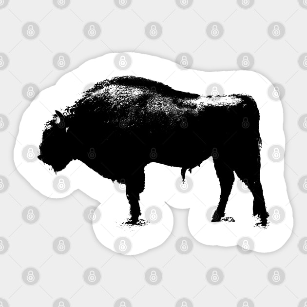 bison t-shirt Sticker by hottehue